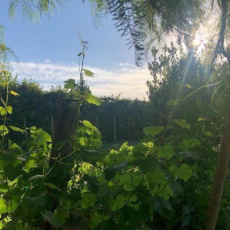 Tikaykilla Lodge & Wines Maipu  Ngoại thất bức ảnh