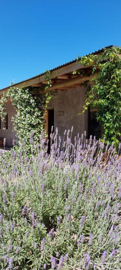 Tikaykilla Lodge & Wines Maipu  Ngoại thất bức ảnh