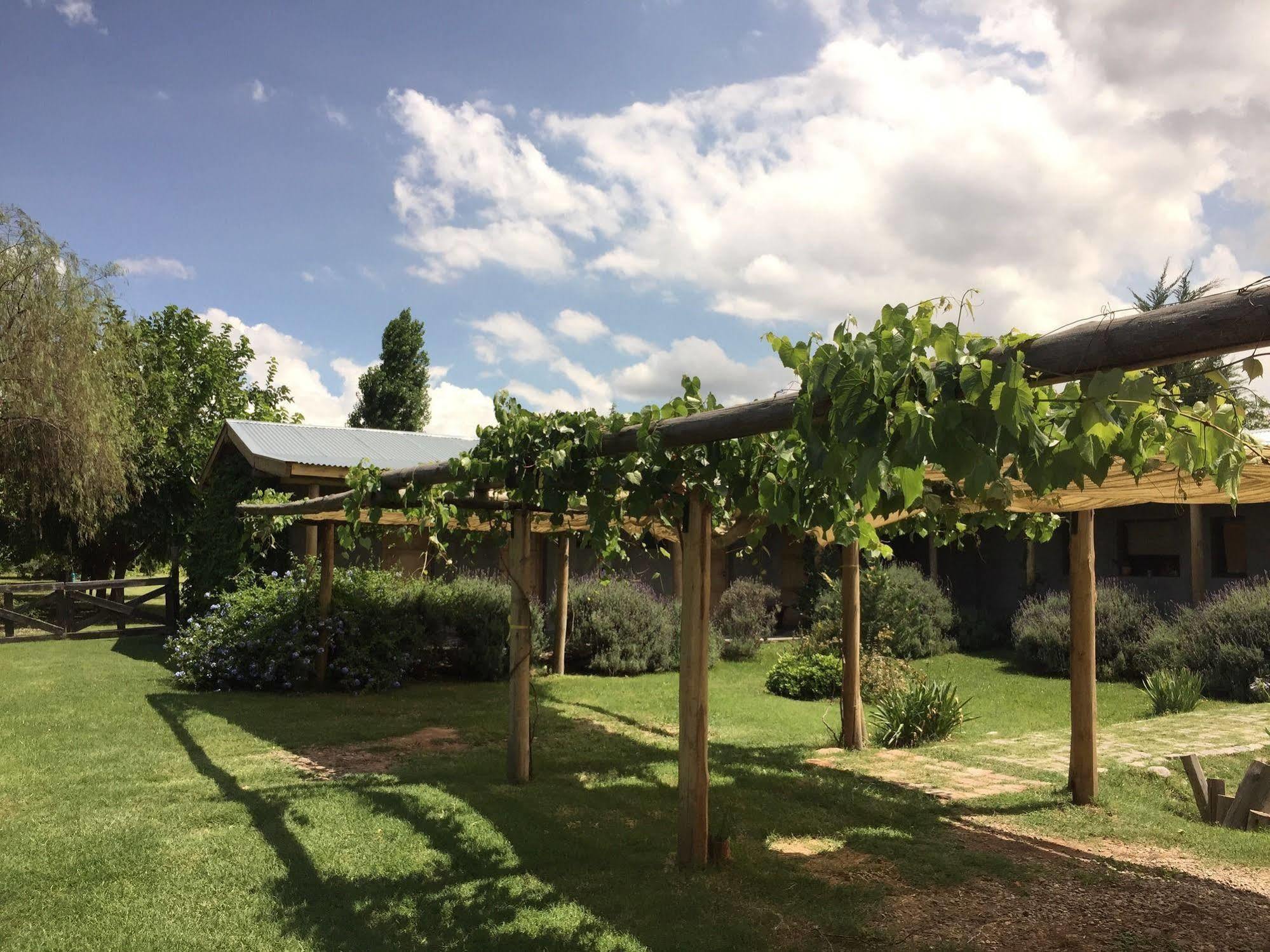 Tikaykilla Lodge & Wines Maipu  Ngoại thất bức ảnh