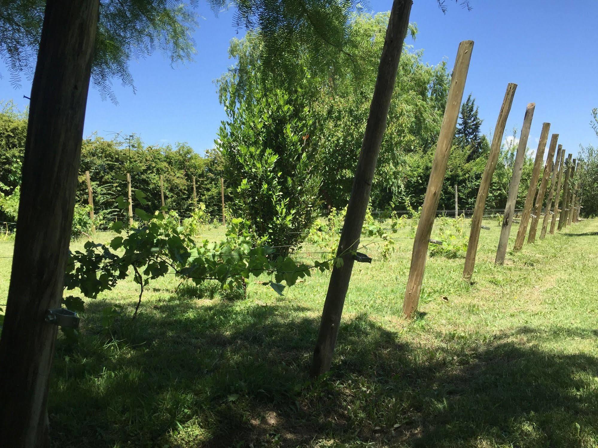 Tikaykilla Lodge & Wines Maipu  Ngoại thất bức ảnh